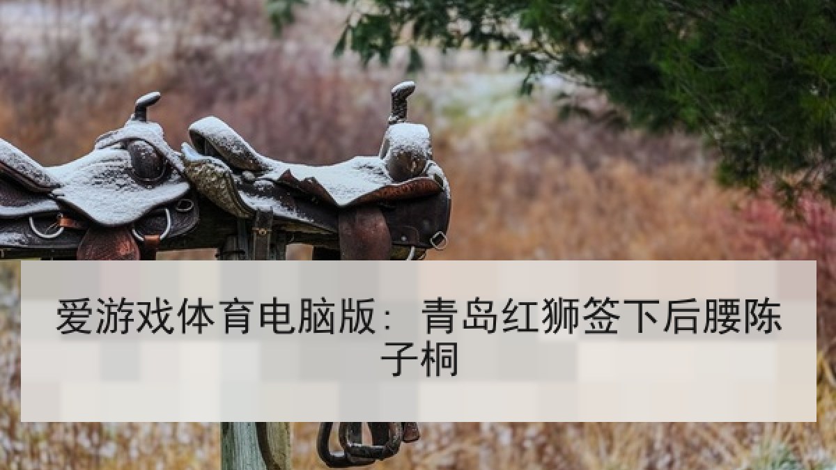 爱游戏体育电脑版: 青岛红狮签下后腰陈子桐